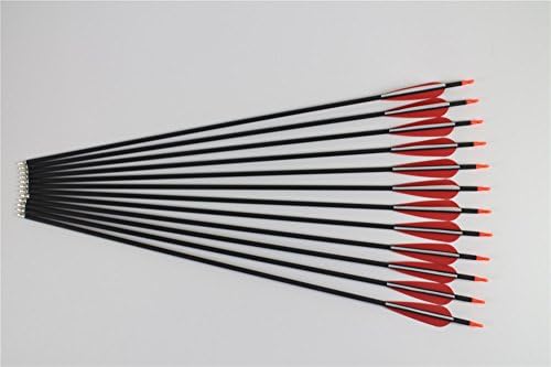 1 Dozen Carbon Composite Target Arrows 28 to 32" Length (28 Inches)