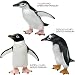立体図鑑リアルフィギュアボックス　ペンギン_s-4