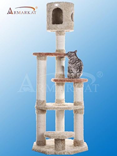 Lovely Carpeted Beautiful Cat Tree