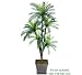 One 6' Cycas Artificial Palm Tree with 5 Heads _plastic Head, with No Pot,
