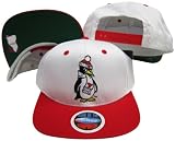 Youngstown State Penguins White/Red Two Tone Plastic Snapback