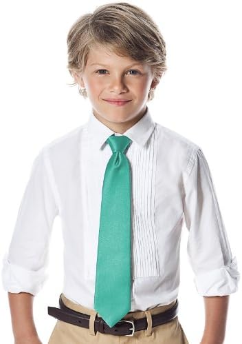 Boy's 14" Matte Satin Zip Neck Tie by Dessy - PANTONE Turquoise