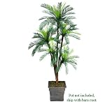 One 6' Cycas Artificial Palm Tree with 5 Heads _plastic Head, with No Pot,