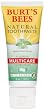 Burt's Bees Gel Multicare Toothpaste, Spearmint, 4 Ounce (Pack of 2)
