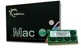 G.Skill PC3-10666 Arbeitsspeicher 8GB (1333 MHz, 204-polig) DDR3-RAM Kit