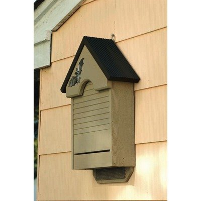 Heartwood Bat Haven Bird Green 048