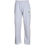 NCAA Rochester Yellow Jackets Logo Applique Sweatpants - Ash (Small)