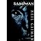 GET INTO GRAPHIC NOVELS?? HERE'S YOUR ULTIMATE GUIDE!