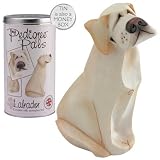 My Pedigree Pals Figurine in Money Box Tin - Yellow Labrador