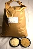 北海道産　「おぼろづき」　玄米10ｋｇ　精米してお届け！　日本テレビでお米マイスターが絶賛したおぼろづき！ 日本テレビ