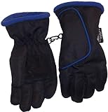 Winter Glove with Velcro Closure Thnisulate Waterproof 2t-4t N'ice Caps Tm