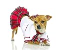 Sexy School Girl Pet Dog/Cat Schoolgirl Halloween Costume