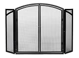 Folding Screen w/Center Doors