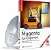 Magento für Experten