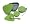 Green Apple