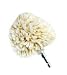 Pro-Quality 5 Genuine Wool Power Polishing & Buffing Ball - Hex Shank - Great for Cars, Boats & Motorcycles