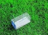 Humane Single Mouse Trap