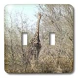 Angelique Cajams Safari Giraffes - Kruger Giraffe Full view - Light Switch Covers - double toggle switch