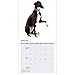 Greyhound 18 Month 2016 Wall Calendar