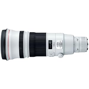 Canon EF 500mm f/4L IS II USM Lens