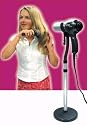 Hands Free Hair Drying and Styling Stand