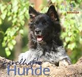 Hund Foto- und Notizkalender 2011: Fabelhafte Hunde