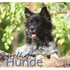 Hund Foto- und Notizkalender 2011: Fabelhafte Hunde