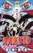 Naruto Volume 47 (in Japanese, Vol 47)