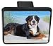 Greater Swiss Mountain Dog Trailer Hitch Cover