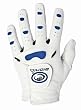 Bionic Men's Pro Golf Glove