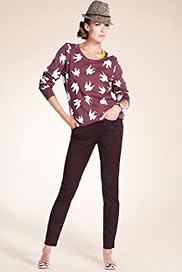 Pure Cotton Swallow Print Sweatshirt
