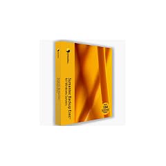 SYMC BACKUP EXEC AGENT FOR MSFT ACTIVE DIRECTORY 12.0 WIN ML CD BUS PACK