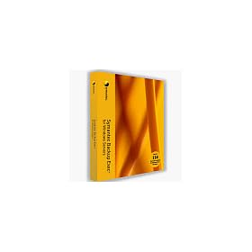 BE AGENT MS ACT DIR 12.0 CD BDL BUS PACK BAS 12M
