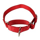 Martingale Large Red Heavyduty Nylon Dog Collar
