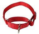 Martingale Large Red Heavyduty Nylon Dog Collar