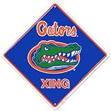 Florida Gators , 12x12