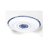 蛍透　１０吋丸皿 【和皿・洋皿 瀬戸焼】 【5個組】