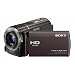 Sony HDR-CX360V High Definition Handycam Camcorder (Bordeaux)