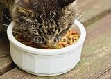 Wallmonkeys Peel and Stick Wall Decals - Cat Eating - 18W x 13H Removable Graphic
