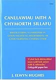 Canllawiau iaith a chymorth sillafu