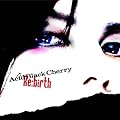 Re:birth(DVD�t)(���񐶎Y����)(�W���P�b�gA)