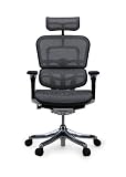 Ergohuman plus (エルゴヒューマン) メッシュチェア 【ハイタイプ】 ヘッドレスト付 グレー EHP-HAM(KM-10)の画像
