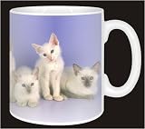Review Advanta  / BALINESE KITTENS Coffee Mug