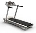 Smyrna Transformer non-folding treadmill