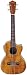 Musical Instruments : Lanikai CK-TEQ Tenor Curly Koa Acoustic Electric Ukulele