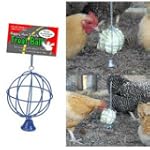 Happy Hen Treats Ball