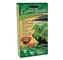 AeroGarden  Green Beans Seed Kit