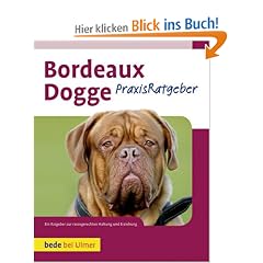 Bordeaux Dogge