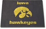 Iowa Hawkeyes All Star Indoor / Outdoor Rug
