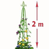 Garten Obelisk Rankhilfe ca. 2,00m spitz Kletters�ule Rankgitter Rosens�ulevon "Relaxdays"